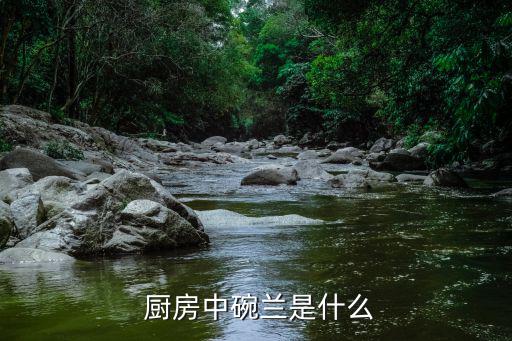 廚房的餐具圖片高清,飯店廚房餐具用品圖片大全