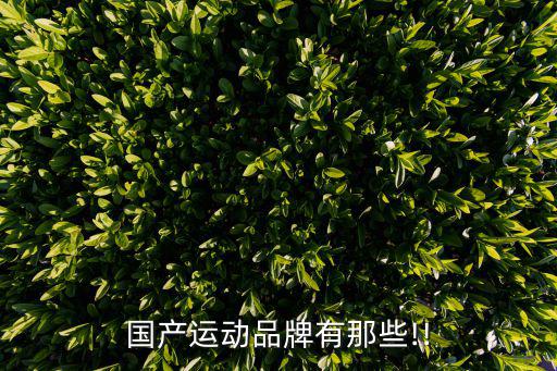 國(guó)內(nèi)哪個(gè)品牌體育用品加盟,大為蘇州體育用品 是代理哪個(gè)品牌