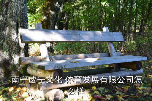  南寧威寧文化 體育發(fā)展有限公司怎么樣