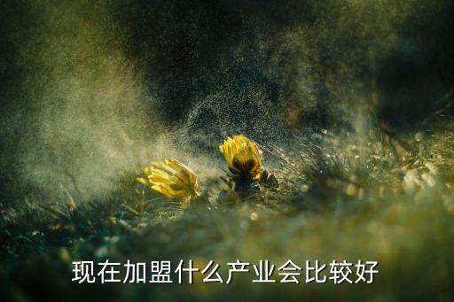 現(xiàn)在加盟什么產(chǎn)業(yè)會比較好