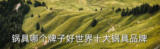 鍋具哪個(gè)牌子好世界十大鍋具品牌
