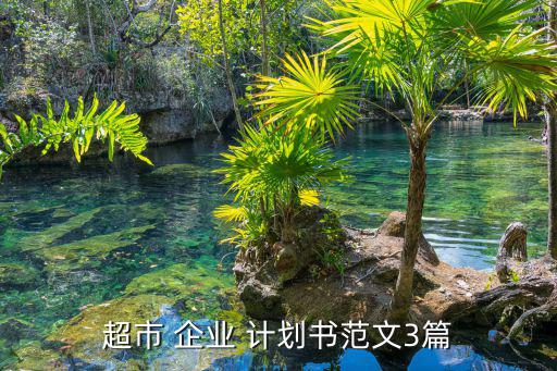 分析一份企業(yè)計(jì)劃書,企業(yè)計(jì)劃書的作用分析正確的是