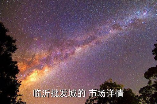 臨沂批發(fā)城的 市場(chǎng)詳情