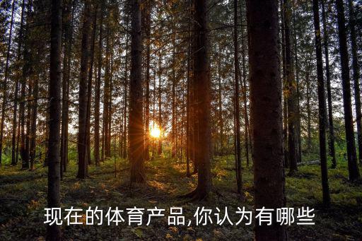 現(xiàn)在的體育產(chǎn)品,你認(rèn)為有哪些