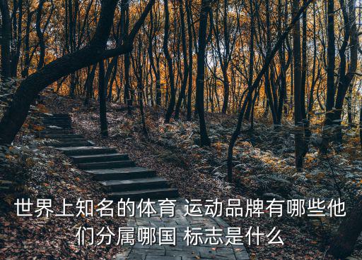 各種運(yùn)動品牌標(biāo)志大全,所有運(yùn)動品牌標(biāo)志大全圖片及名稱