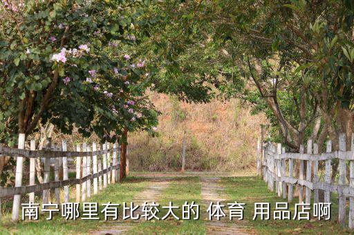 南寧哪里有比較大的 體育 用品店啊