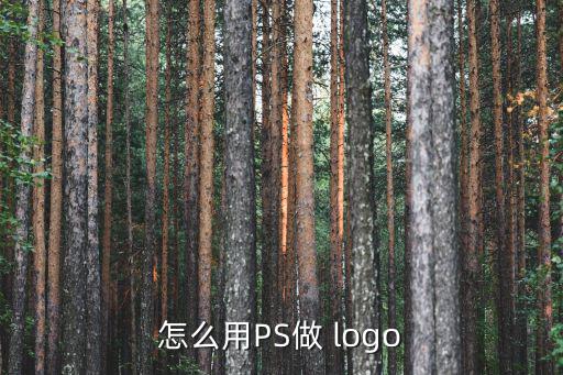 logo圖標(biāo)設(shè)計圖案怎么設(shè)計,七色花logo圖標(biāo)設(shè)計圖案