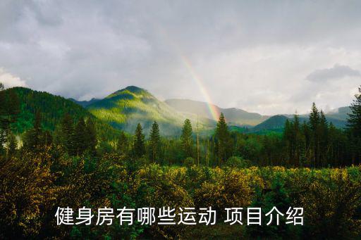 體育器材項(xiàng)目簡介,共享體育器材項(xiàng)目簡介