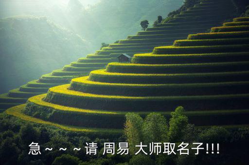 急～～～請(qǐng) 周易 大師取名子!!!