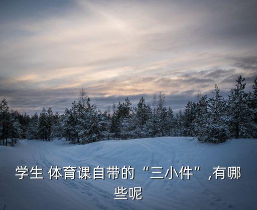 小學(xué)體育器材大全清單,體育器材購買清單