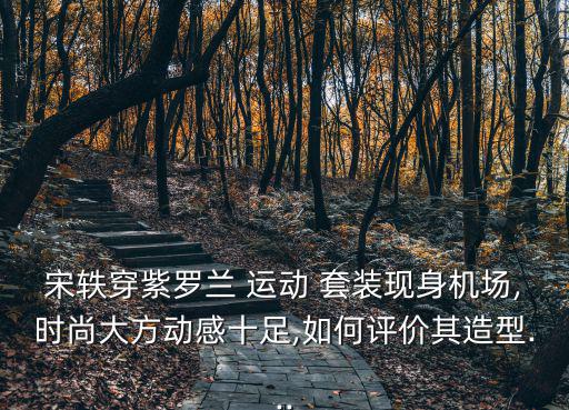 宋軼穿紫羅蘭 運動 套裝現(xiàn)身機場,時尚大方動感十足,如何評價其造型...