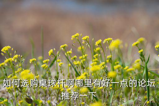 如何選購(gòu)桌球桿啊哪里有好一點(diǎn)的論壇推薦一下