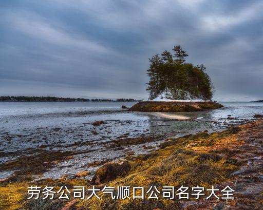 勞務公司大氣順口公司名字大全
