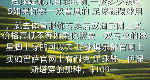 寶雞市哪里有賣足球鞋的地方,寶雞體育場完全按照國際標(biāo)準(zhǔn)建設(shè)