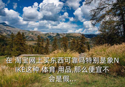 在 淘寶網(wǎng)上買東西可靠嗎特別是象NIKE這種 體育 用品,那么便宜不會是假...