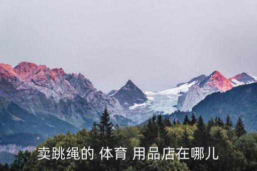 賣跳繩的 體育 用品店在哪兒