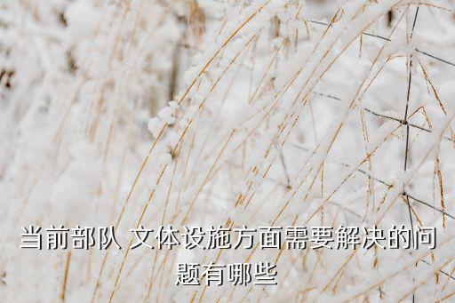 當(dāng)前部隊(duì) 文體設(shè)施方面需要解決的問題有哪些
