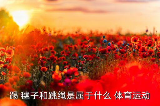 踢 毽子和跳繩是屬于什么 體育運(yùn)動(dòng)