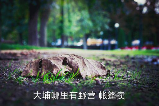 大埔哪里有野營 帳篷賣