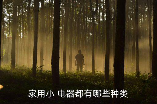 廚房電器種類ppt,廚房電器和美容護理電器一起來看看