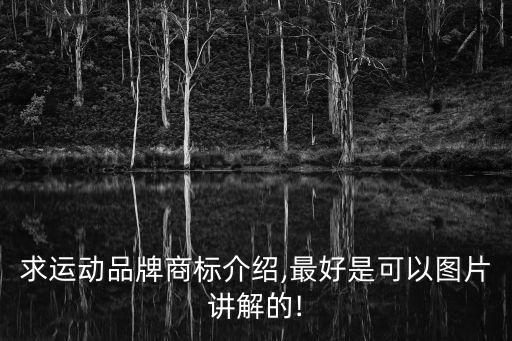 運(yùn)動(dòng)裝所有品牌標(biāo)志,羽毛球所有品牌和標(biāo)志
