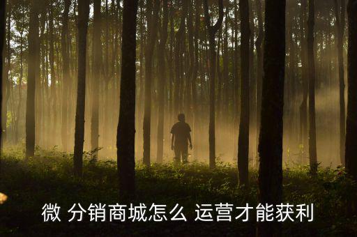 足球體育用品如何運(yùn)營(yíng)分銷