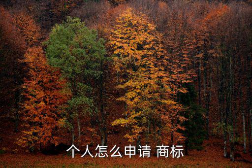 個(gè)人怎么申請(qǐng) 商標(biāo)