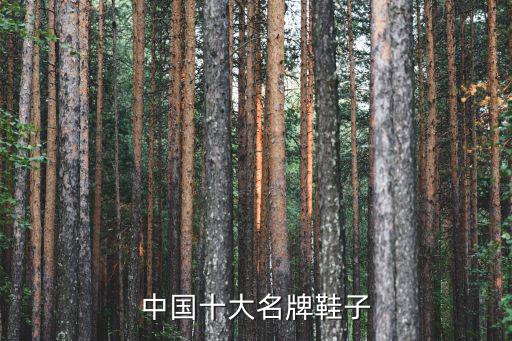 國內(nèi)知名運動鞋品牌排行榜