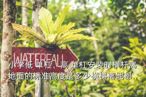 運(yùn)動(dòng)器材單杠多高,跟單杠很像的運(yùn)動(dòng)器材