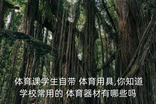 體育用品有哪些簡筆畫,各種體育用品簡筆畫
