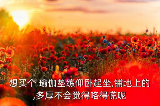 想買個 瑜伽墊練仰臥起坐,鋪地上的,多厚不會覺得咯得慌呢