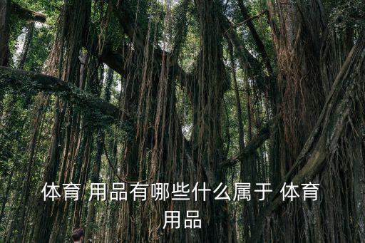  體育 用品有哪些什么屬于 體育 用品