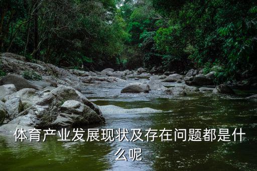 體育用品市場(chǎng)規(guī)模分析及預(yù)測(cè)報(bào)告