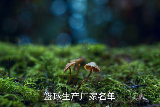 武漢美誠體育用品廠怎么樣