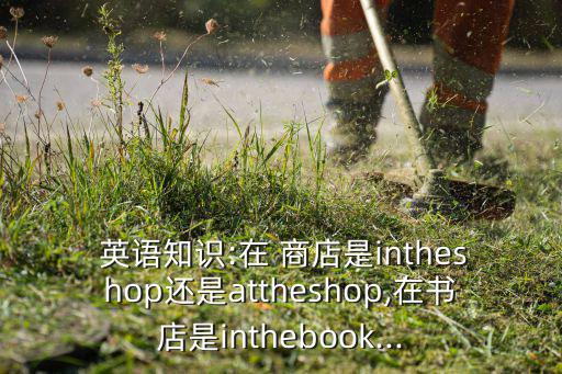 他正在尋找賣玩具的商店英語
