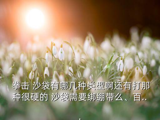  拳擊 沙袋有哪幾種類型啊還有打那種很硬的 沙袋需要綁繃帶么、百...