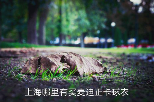 徐匯區(qū)體育用品費(fèi)用是多少