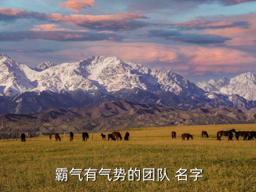  霸氣有氣勢的團隊 名字
