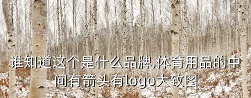 品牌運動標志圖片大全,運動品牌名字大全