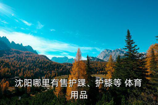 沈陽體育用品哪里好,祝您好運(yùn)!體育廣場與中山公園的對聯(lián)