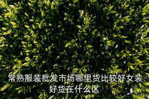  常熟服裝批發(fā)市場哪里貨比較好女裝好貨在什么區(qū)