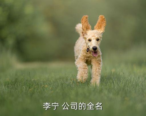 賣體育用品屬于什么公司,長(zhǎng)治賣體育用品在什么地方