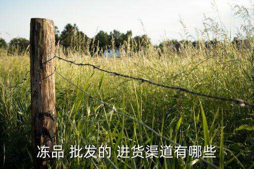 凍品 批發(fā)的 進(jìn)貨渠道有哪些