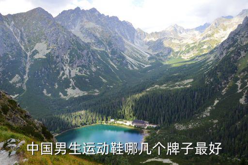 中國男生運動鞋哪幾個牌子最好