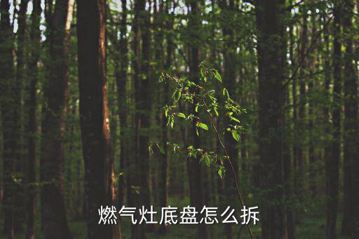 燃?xì)庠畹妆P怎么拆