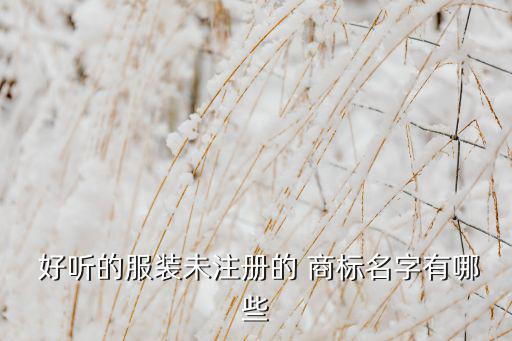  好聽的服裝未注冊的 商標(biāo)名字有哪些