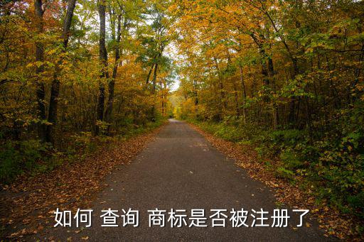 商標(biāo)知識產(chǎn)權(quán)查詢,中國知識產(chǎn)權(quán)商標(biāo)查詢網(wǎng)站官網(wǎng)