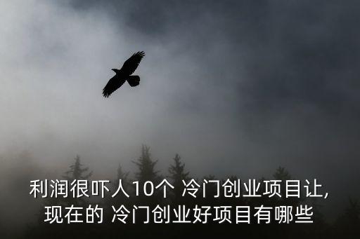 利潤很嚇人10個(gè) 冷門創(chuàng)業(yè)項(xiàng)目讓,現(xiàn)在的 冷門創(chuàng)業(yè)好項(xiàng)目有哪些