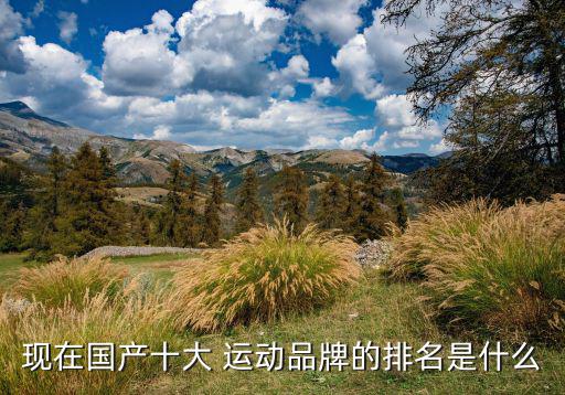 中國運動品牌排行前十,運動服飾品牌排行