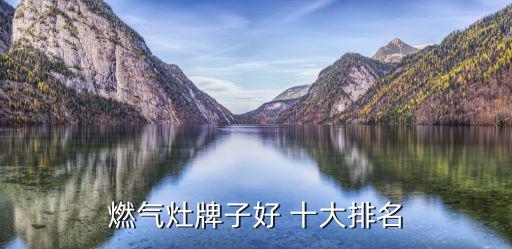 中國十大廚衛(wèi)電器品牌最新排行榜,燃?xì)鉄崴魇竺婆琶?/></a></span><span id=